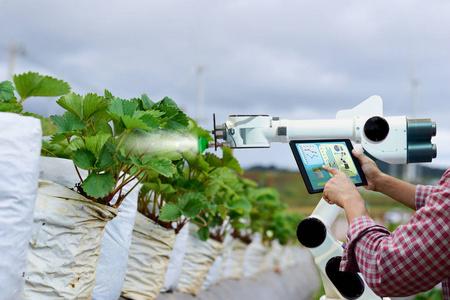 护理手臂农夫手持平板电脑智能手臂机器人工作草莓护理农业机械技术