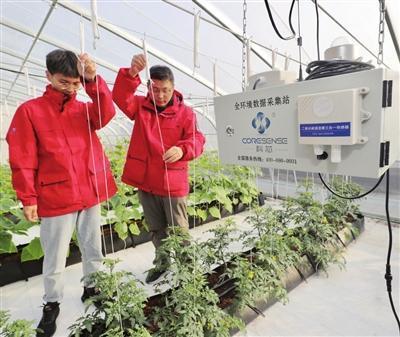 以科芯(天津)生态农业科技,元和机器人(天津)为代表